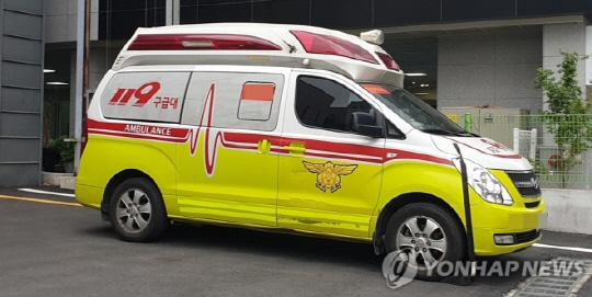 119 구급차  [연합뉴스]